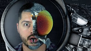 Esculpindo a vida | Nerdologia