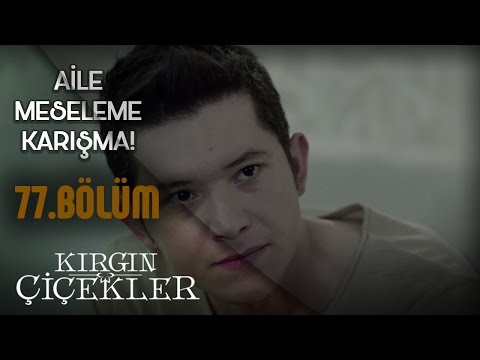 Kırgın Çiçekler 77.Bölüm - Aile meseleme karışma!