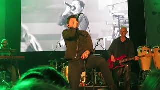 Michael Patrick Kelly / No Fuzz no Buzz