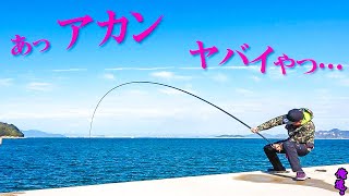 最強のべ竿で堤防の影に潜む怪物を狙うと…