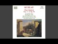 Flute Quintet No. 2 in E Major, Op. 51: I. Adagio, ma non tanto - Allegro agitato