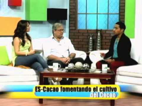 resumen viernes 31 de mayo