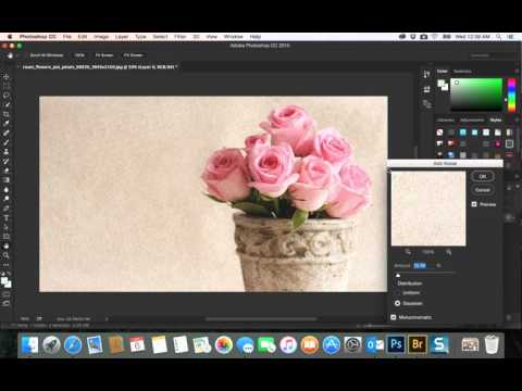 ‪33- PhotoShop CC|  filter add noise‬&rlm;
