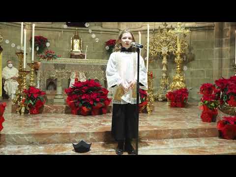 Sermó de la calenda 2021- Esglesia de la Sang- Luca Dobos