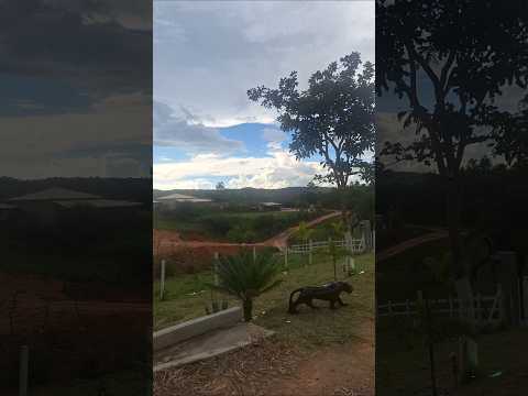 Sítio em Pedra do Indaiá #roça #sitio #campo #galinha #vidanocampo #vidanaroça #rotinasimples #vlog