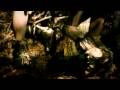 The Rosebuds - Life Like 