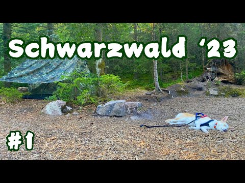 Die Tour beginnt - Schwarzwald-Tour mit Hund (1/5)