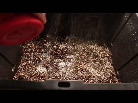 How to prepare bedding for a new worm bin