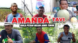 Download lagu BISI Sahabat Petani: #melon Amanda Tavi, Idola Petani #melon Jawa Timur mp3 Download lagu BISI Sahabat Petani: #melon Amanda Tavi, Idola Petani #melon Jawa Timur mp3