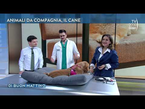 Di Buon Mattino (Tv2000) - Puntata del 14 marzo 2023