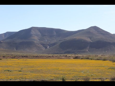 R9,800,000 | 4,624Ha Farm For Sale in Calvinia - RL4707