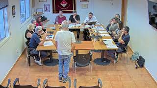 Ple Municipal Ordinari 29 de maig 2025