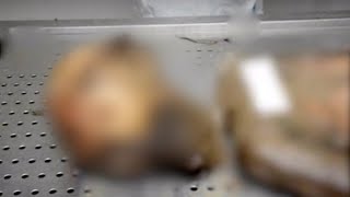 [討論] 回教徒:為什麼台灣都不挺巴勒斯坦?