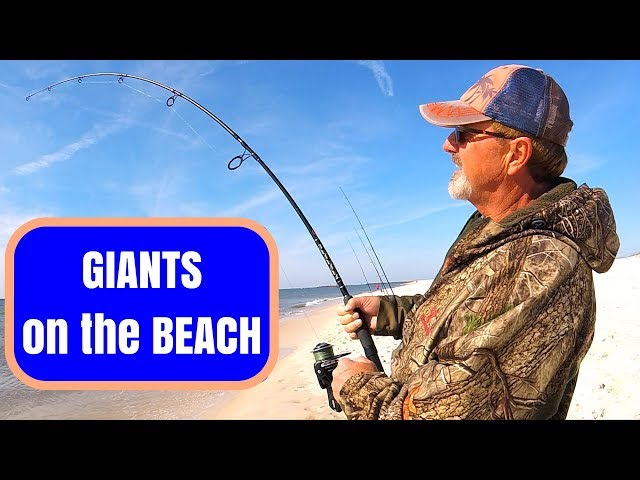 Catching GIANTS on the BEACH - Surf Fishing Goes CRAZY