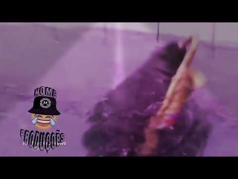 Foca rodando e girando ao som de música do Venom