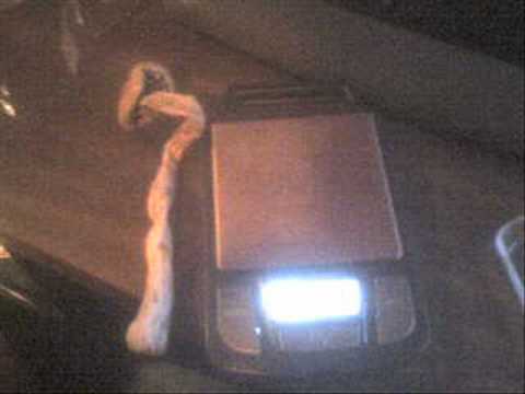 Martillo Quaint vs. Fat Boy Slim - What Da Fuck