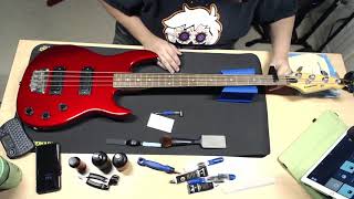 Video thumbnail for 1980's Peavey Foundation: Bass Setup [Edited Live Stream] by Wolfstar Soundscapes
