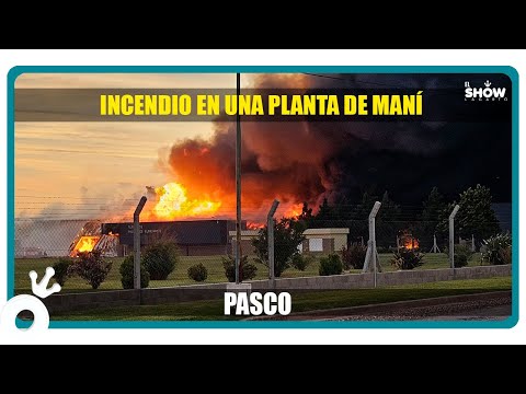 Incendio en Pasco: Fuego descontrolado en una planta procesadora de maní de Córdoba