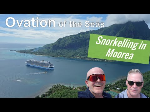 Thumbnail for Snorkelling tour Moorea : North Star : Ovation of the Seas : Transpacific