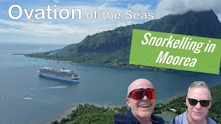 Snorkelling tour Moorea : North Star : Ovation of the Seas : Transpacific