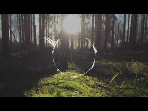 Sevn Alias - Gass ft. Jason Futuristic, BKO & Jairzinho (Prod. WillyBeatsz) (Bass Boosted)