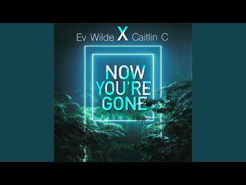 Now You're Gone (feat. Caitlin C)