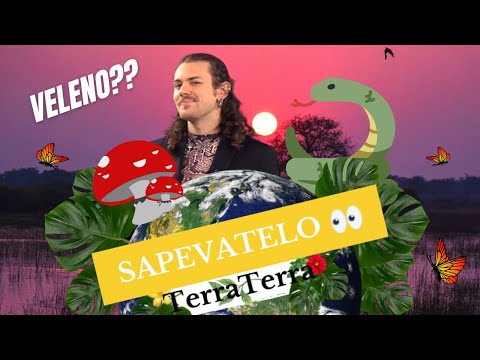 Sapevatelo! #2 - Che differenza c'è tra tossico e velenoso?