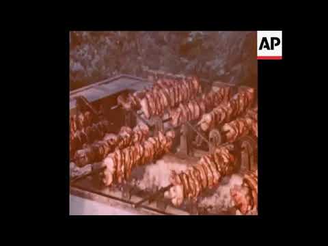 UNUSED 4-8-80 footage from Albena Resort