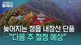 늦어지는 정읍 내장산 단풍..."다음 주 절정 예상" / YTN 사이언스