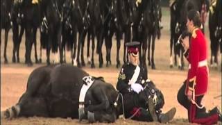 Beating Retreat 2013: The Household Cavalry Mounted Band