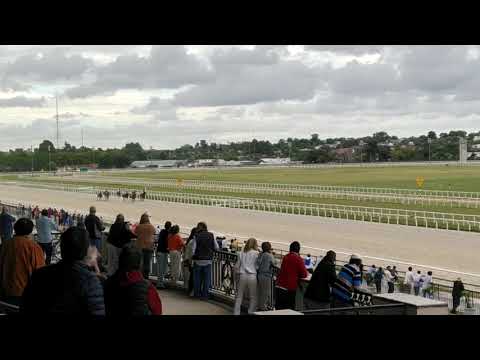 Olympic Harvard - GP Comparación