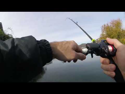 Bass Fishing Lago d'Iseo - catture degli ultimi giorni