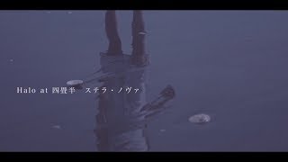 Halo at 四畳半 “ステラ・ノヴァ” (Official Music Video)