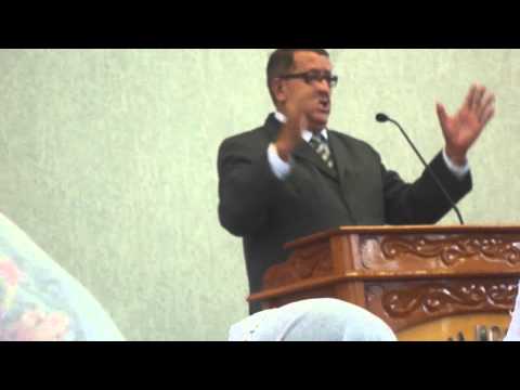 ensaio regional planta americana..titi