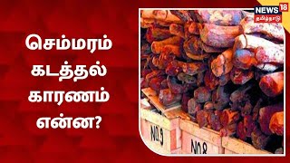 Red Sandalwood Tree | செம்மரம் கடத்தல் காரணம் என்ன? | Andhra Pradesh