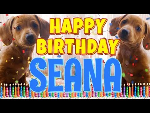 Happy Birthday Seana! ( Funny Talking Dogs ) What Is Free On My Birthday