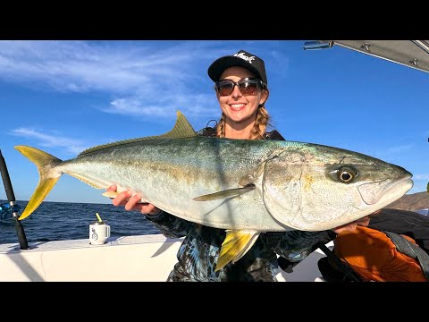 Wir erlebten Nonstop-Action beim Fangen von Gelbschwanzmakrelen (Speerfischen von Oktopussen & Ta...