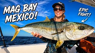 Fishing NONSTOP Action Catching Yellow Tail (Octopus & Underwater with Humpback Whales!)