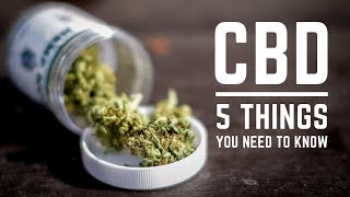 CBD: 5 Things You Need to Know