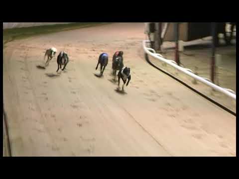Savana Class - Coral Golden Sprint - Heat 1