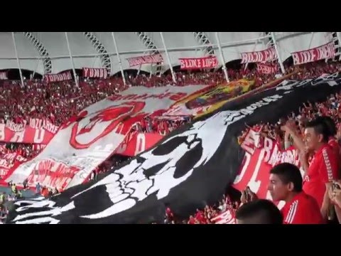 "YO SOY DE LA MECHA (vídeo oficial) América 2  vs  quindio  0" Barra: Baron Rojo Sur • Club: América de Cáli