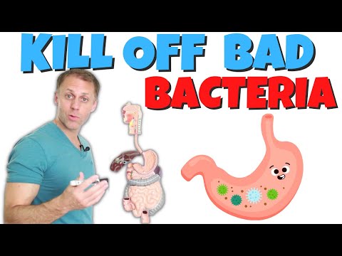 How to Wipe Out Bad Bacteria in the Stomach