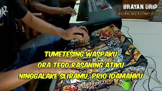 Download lagu Mawar Biru dongkrek jaranan mantulll 🔴 AUDIO GLERRRR ‼️ COVER DTX by awal pukang mp3 Download lagu Mawar Biru dongkrek jaranan mantulll 🔴 AUDIO GLERRRR ‼️ COVER DTX by awal pukang mp3