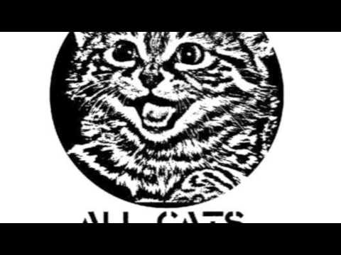 Pseudo-H.H.D. (Ft Ramingo)