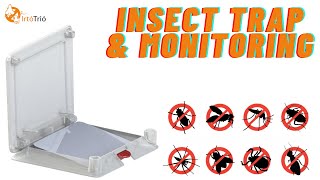 Detektor insektów Bait Box na owady biegające (Zdjęcie 4)