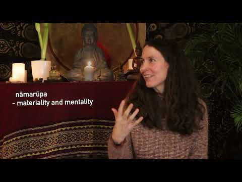 The evolution of humans