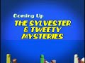 Boomerang From CN The Sylvester And Tweety Mysteries Next Bumper 2000 2015 FANMADE