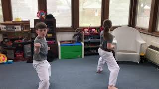 Adamson's Karate at social distancing