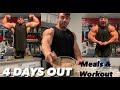 4 Days Out! All Meals | Arms and Shoulders Workout
