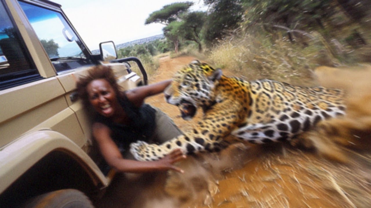 Viagens De Safári Na África Que Deram Terrivelmente Errado